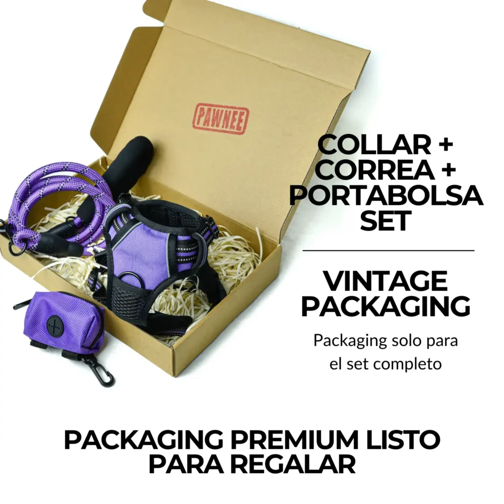 Conjunto Cheyenne (09) Arnés Cheyenne