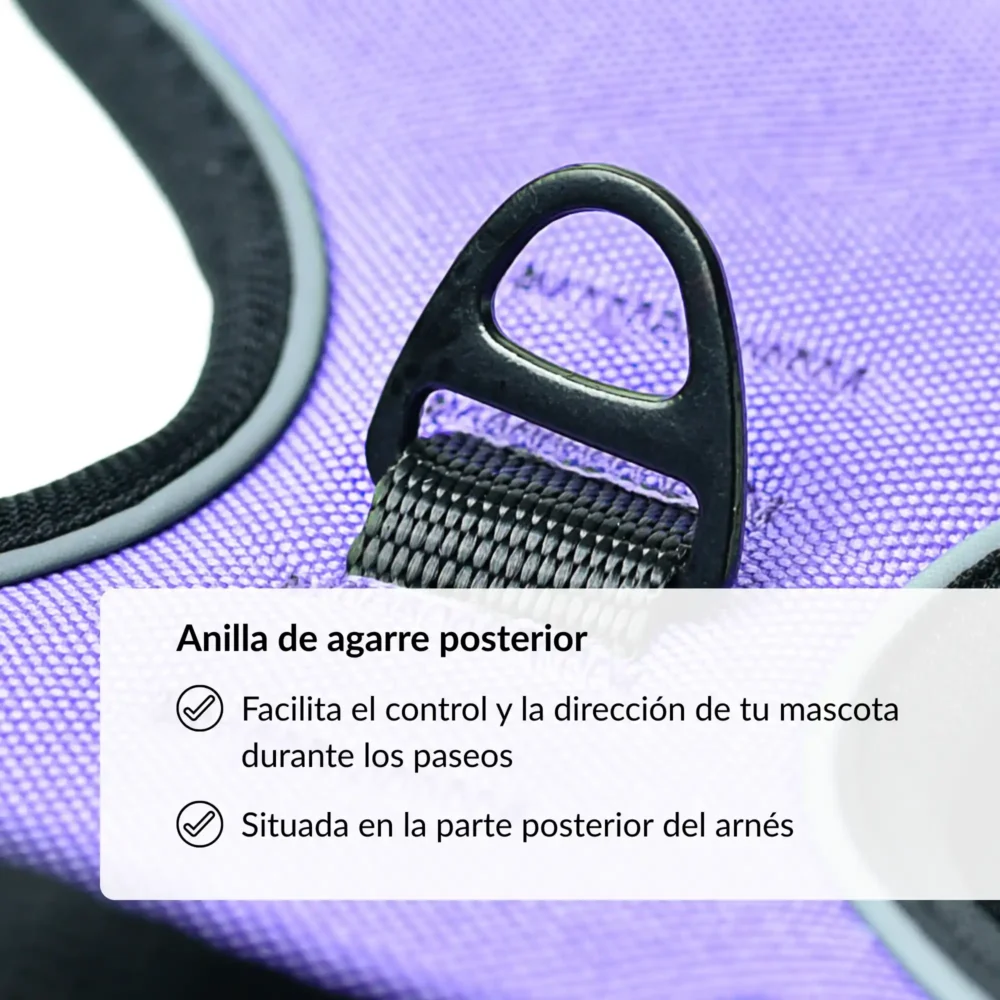 Conjunto Cheyenne (15) Arnés Cheyenne