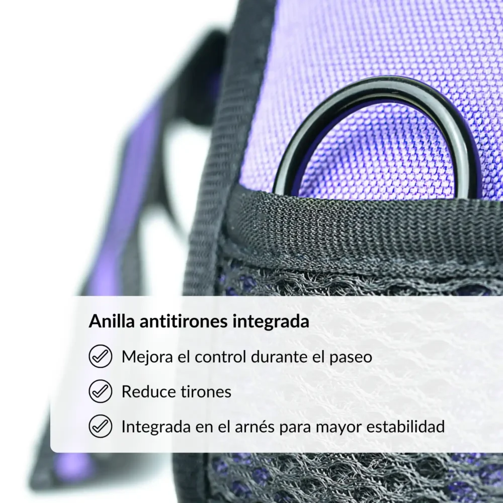 Conjunto Cheyenne (16) Arnés Cheyenne