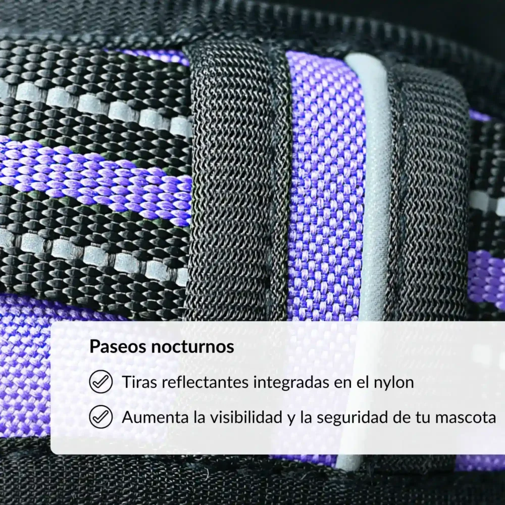 Conjunto Cheyenne (17) Arnés Cheyenne