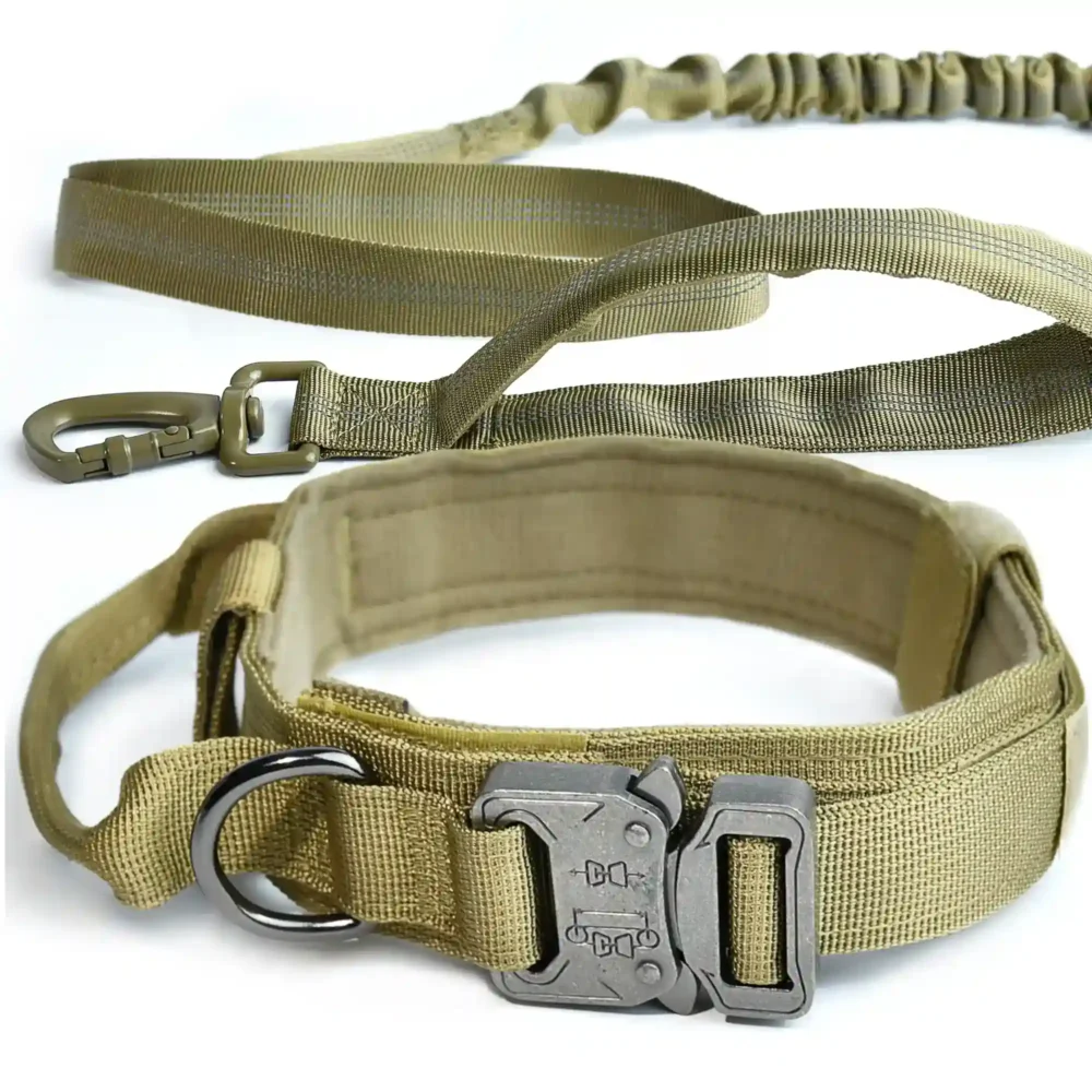 Conjunto Ottawa (03) Conjunto Ottawa