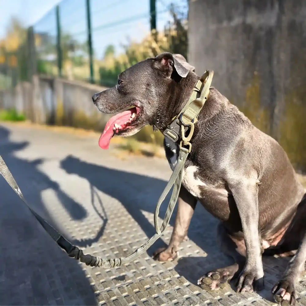 Conjunto Ottawa (06) Collar Ottawa