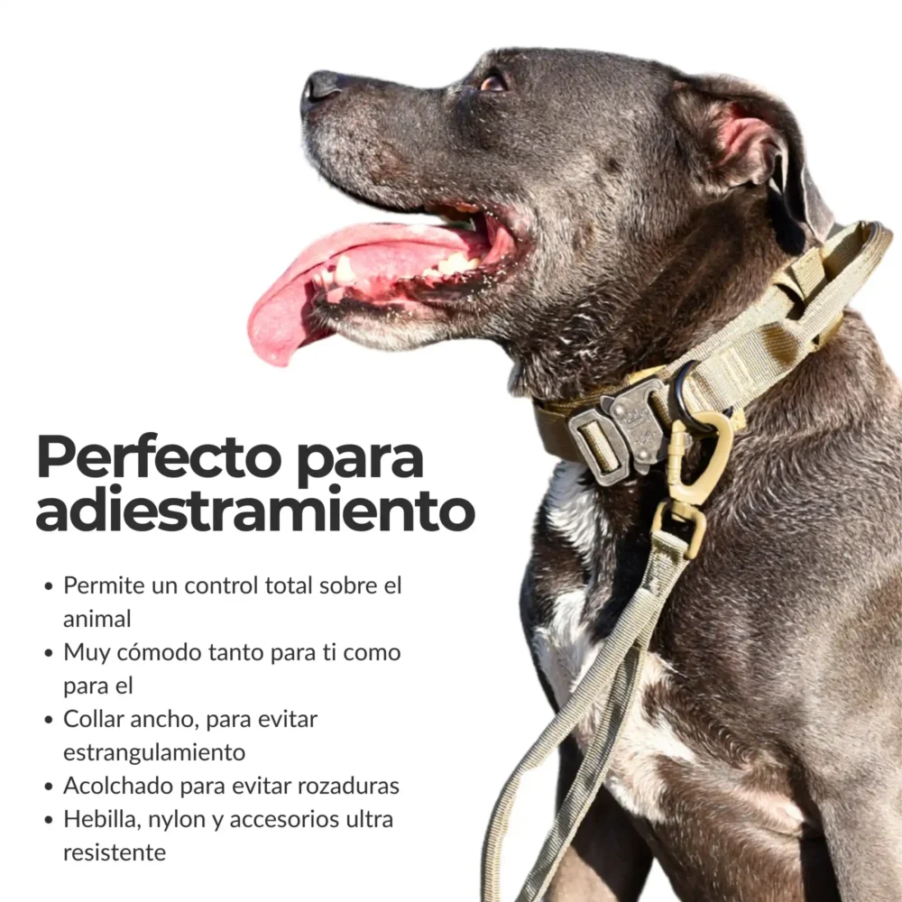 Conjunto Ottawa (07) Collar Ottawa