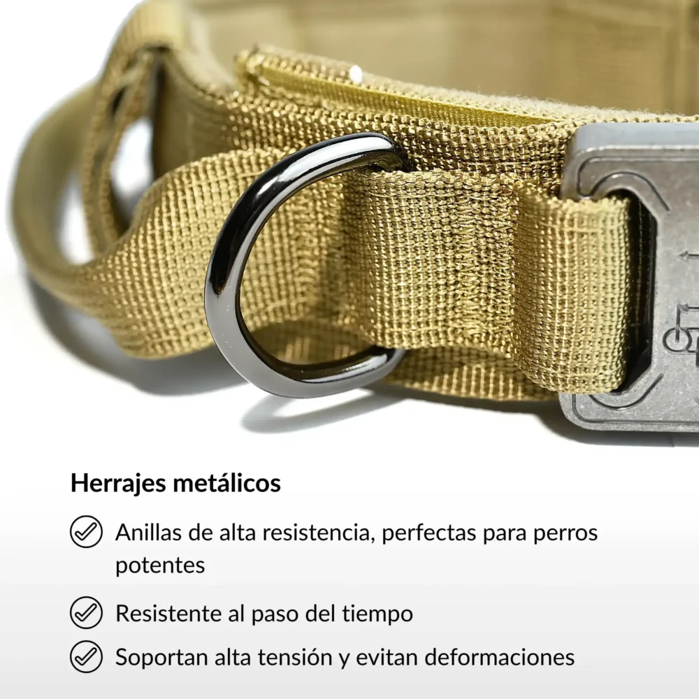 Conjunto Ottawa (10) Collar Ottawa