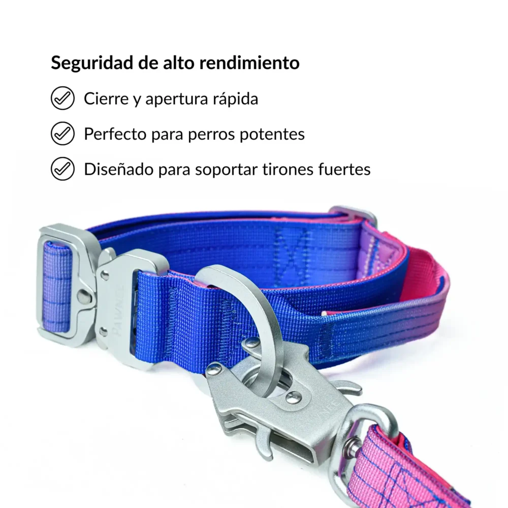 Conjunto Shawnee EVO - Gradient (01) Correa Zacateca EVO - Gradient