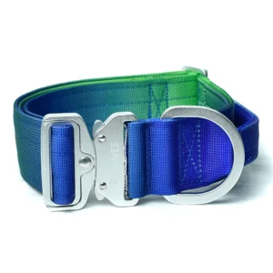 Collar Shawnee 5,0 cm EVO - Gradient