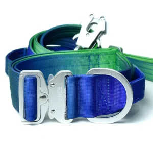 Conjunto Shawnee 5,0 cm EVO - Gradient