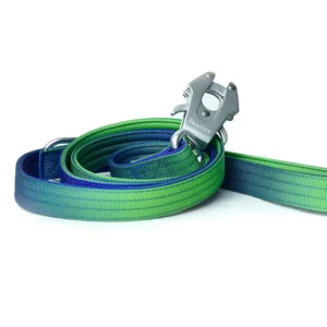 Correa Zacateca EVO - Gradient