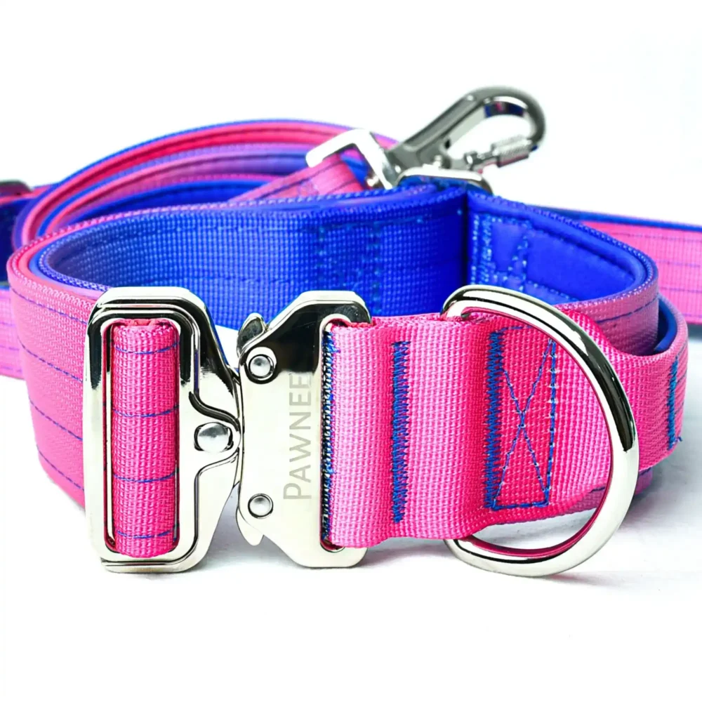 Conjunto Shawnee LUX Max