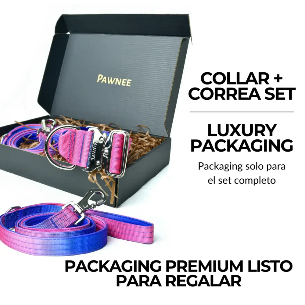 Conjunto Shawnee LUX - Gradient (18) Collar Shawnee 5,0 cm LUX - Gradient