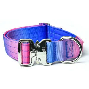 Collar Shawnee 3,8 cm LUX - Gradient