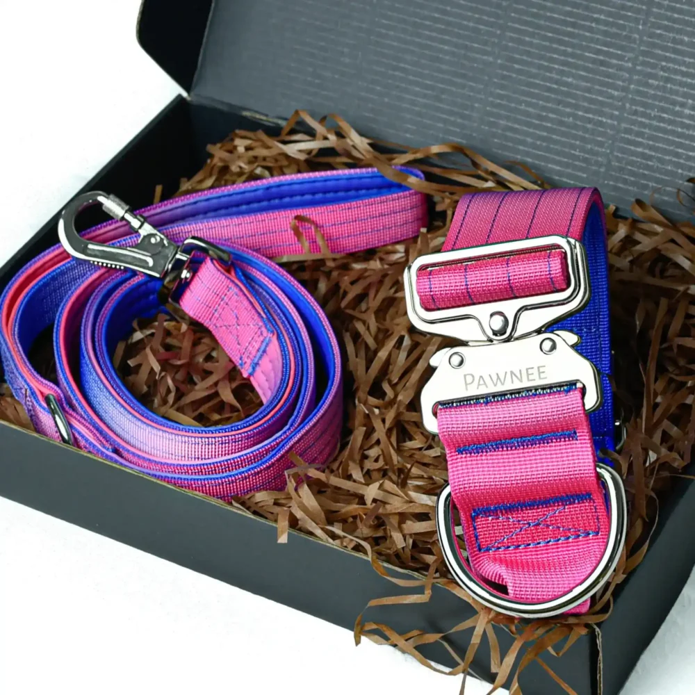 Conjunto Shawnee LUX - Gradient (24) Collar Shawnee 5,0 cm LUX - Gradient