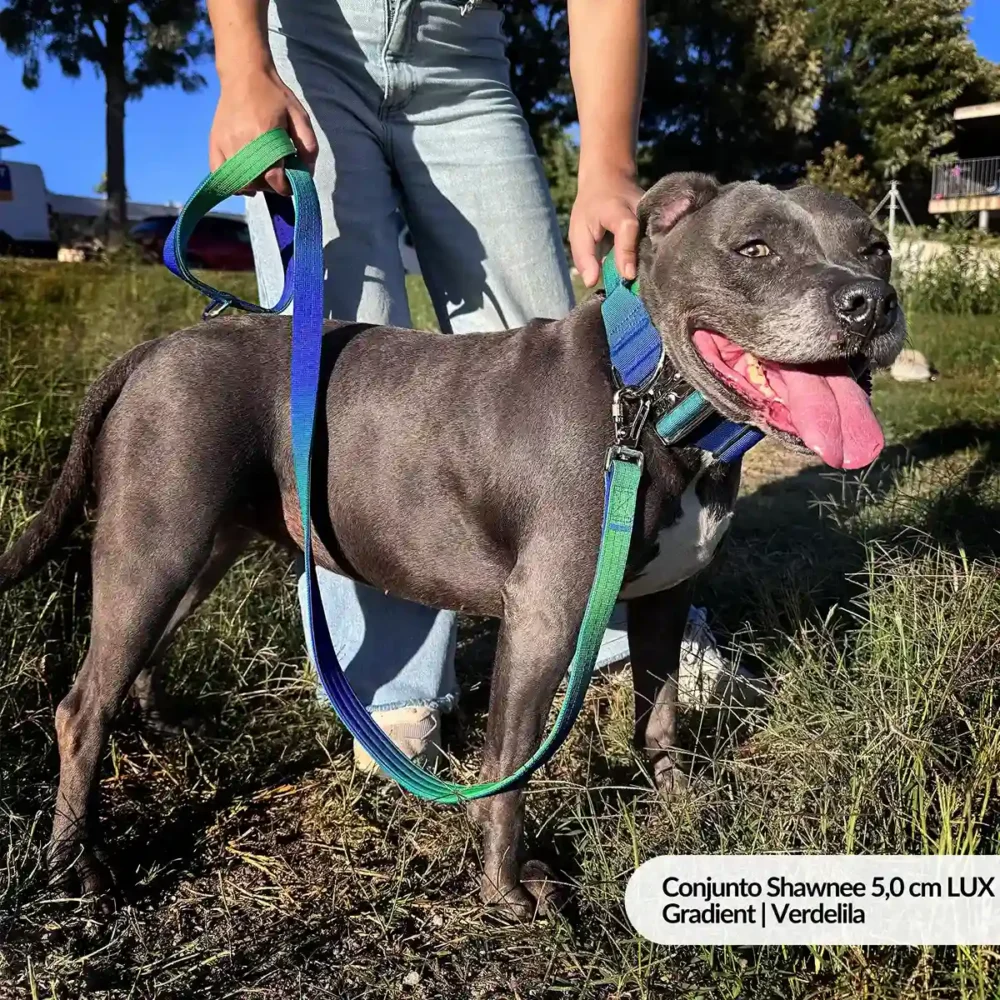 Conjunto Shawnee 3,8 cm LUX - Gradient