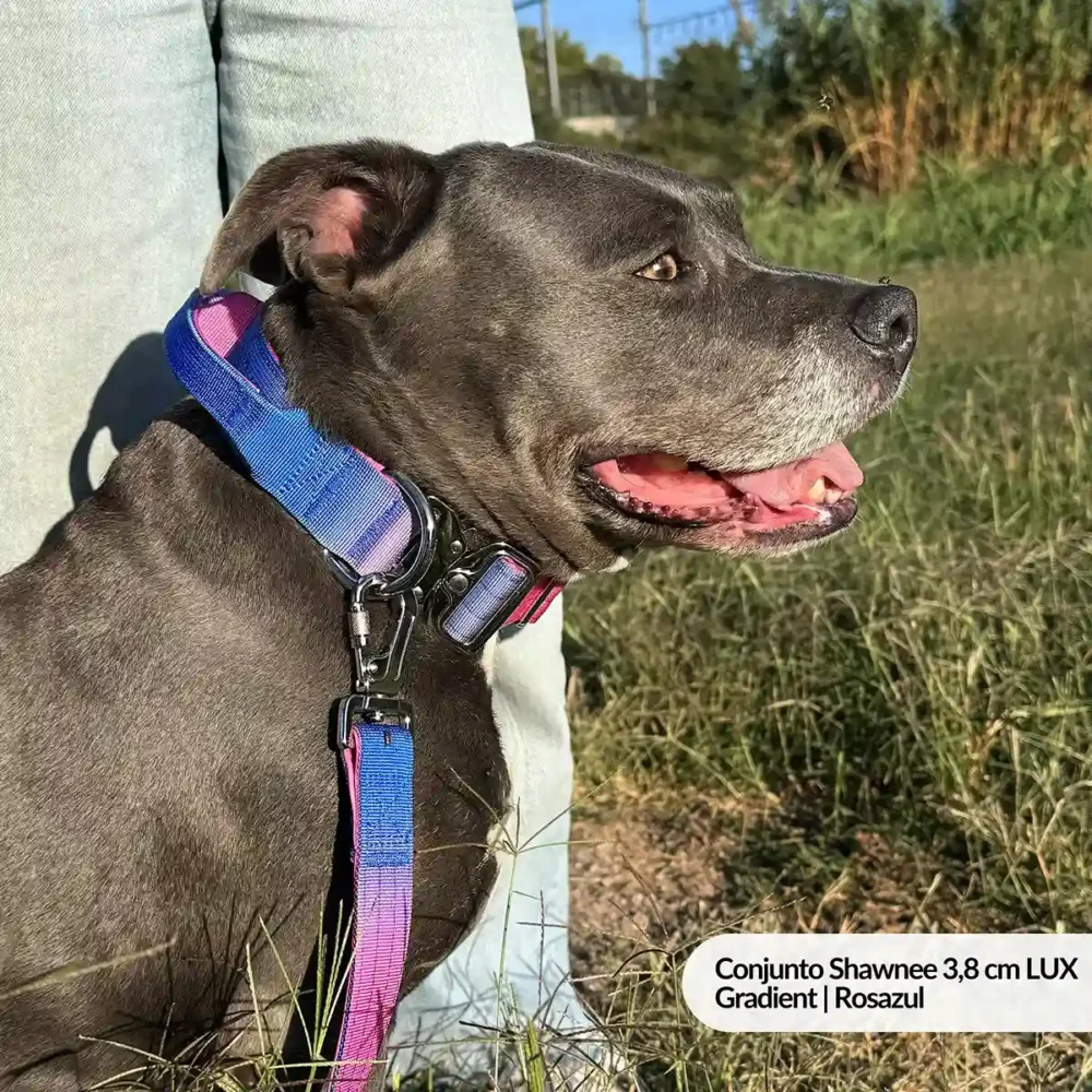 Conjunto Shawnee 3,8 cm LUX - Gradient