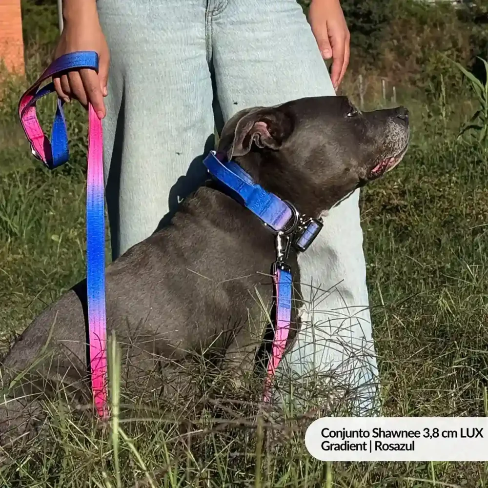 Conjunto Shawnee 3,8 cm LUX - Gradient