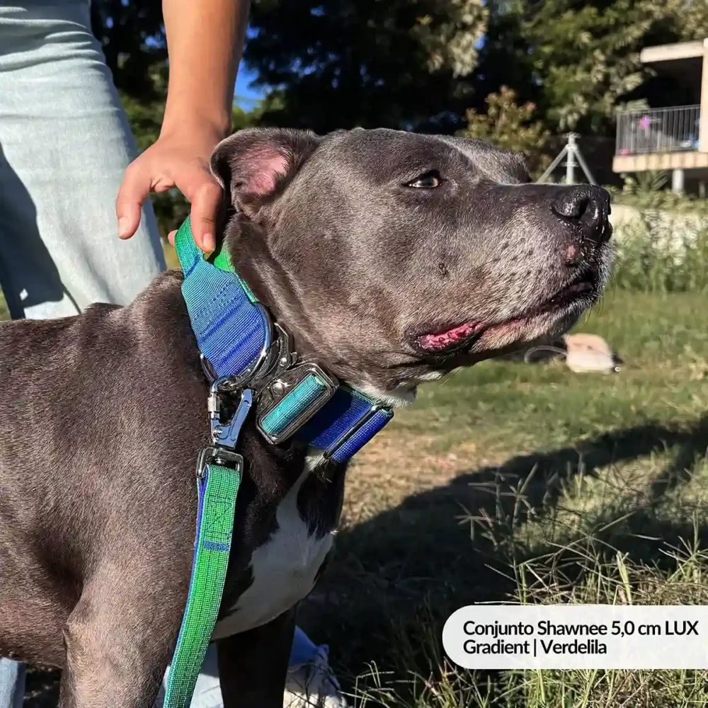 Conjunto Shawnee 3,8 cm LUX - Gradient