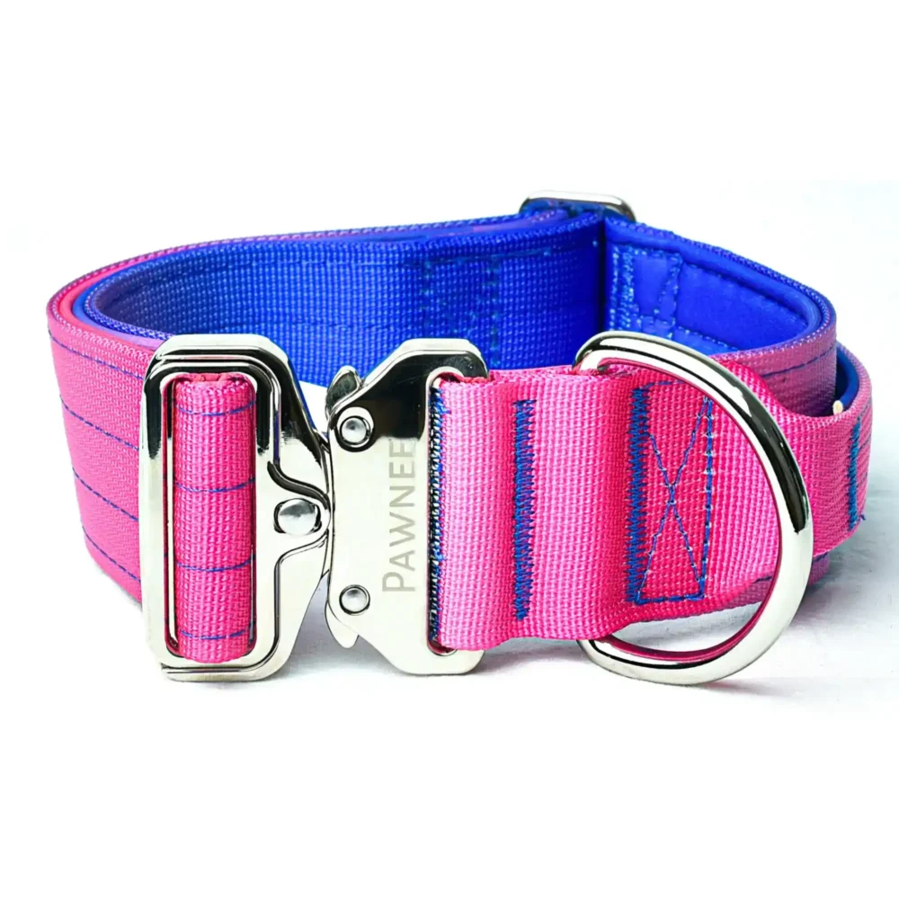 Conjunto Shawnee LUX - Gradient (04) Collar Shawnee 5,0 cm LUX - Gradient