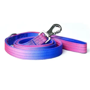 Correa Zacateca LUX - Gradient