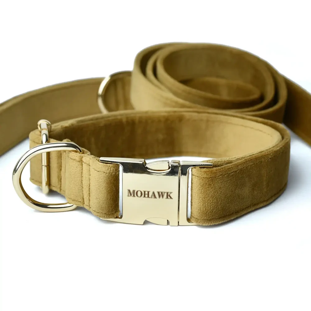 Conjunto Yuchi (07) Conjunto Yuchi