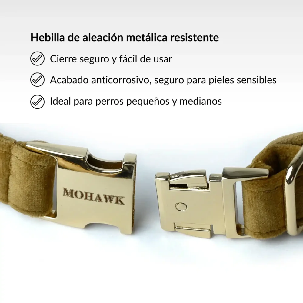 Conjunto Yuchi (17) Conjunto Yuchi