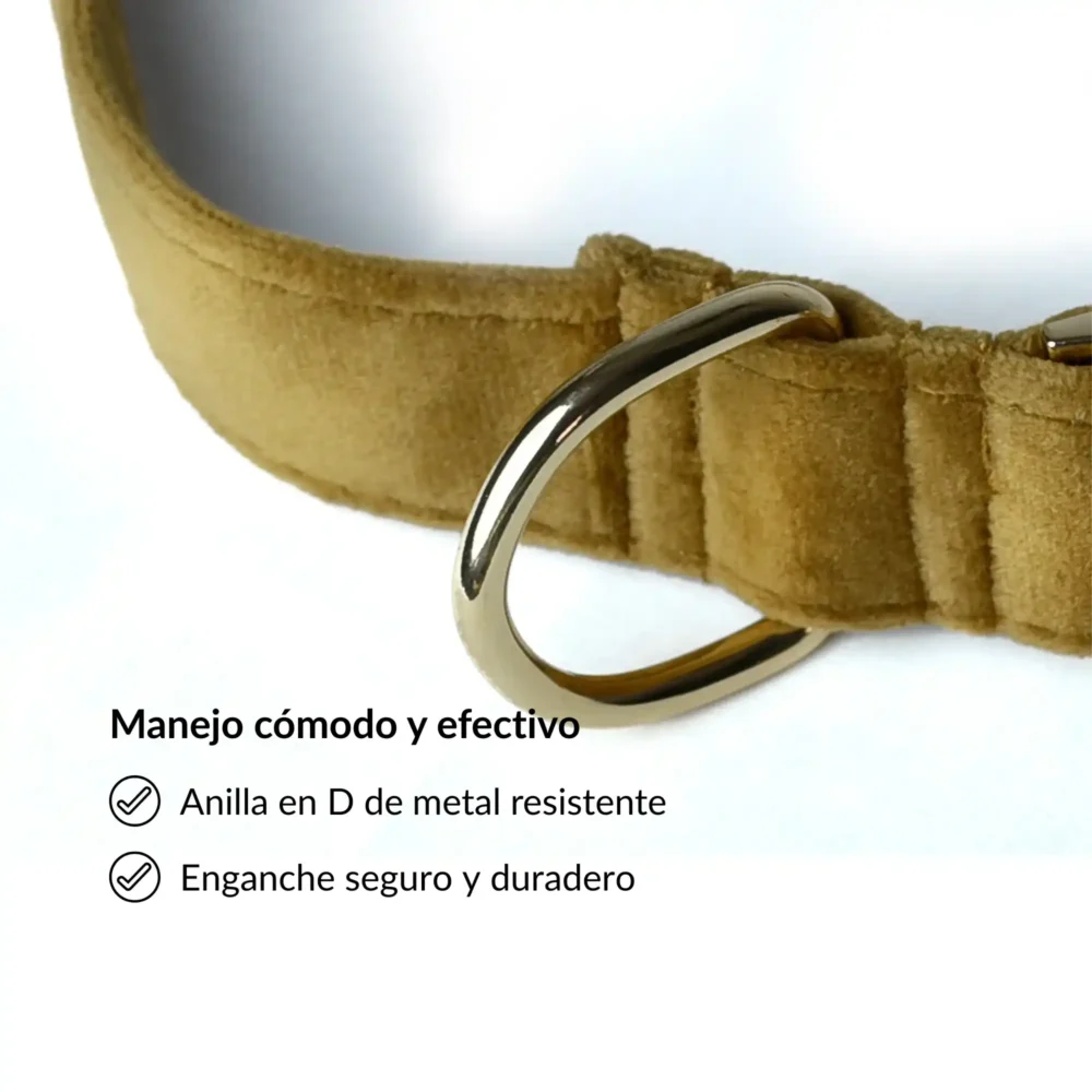 Conjunto Yuchi (20) Conjunto Yuchi