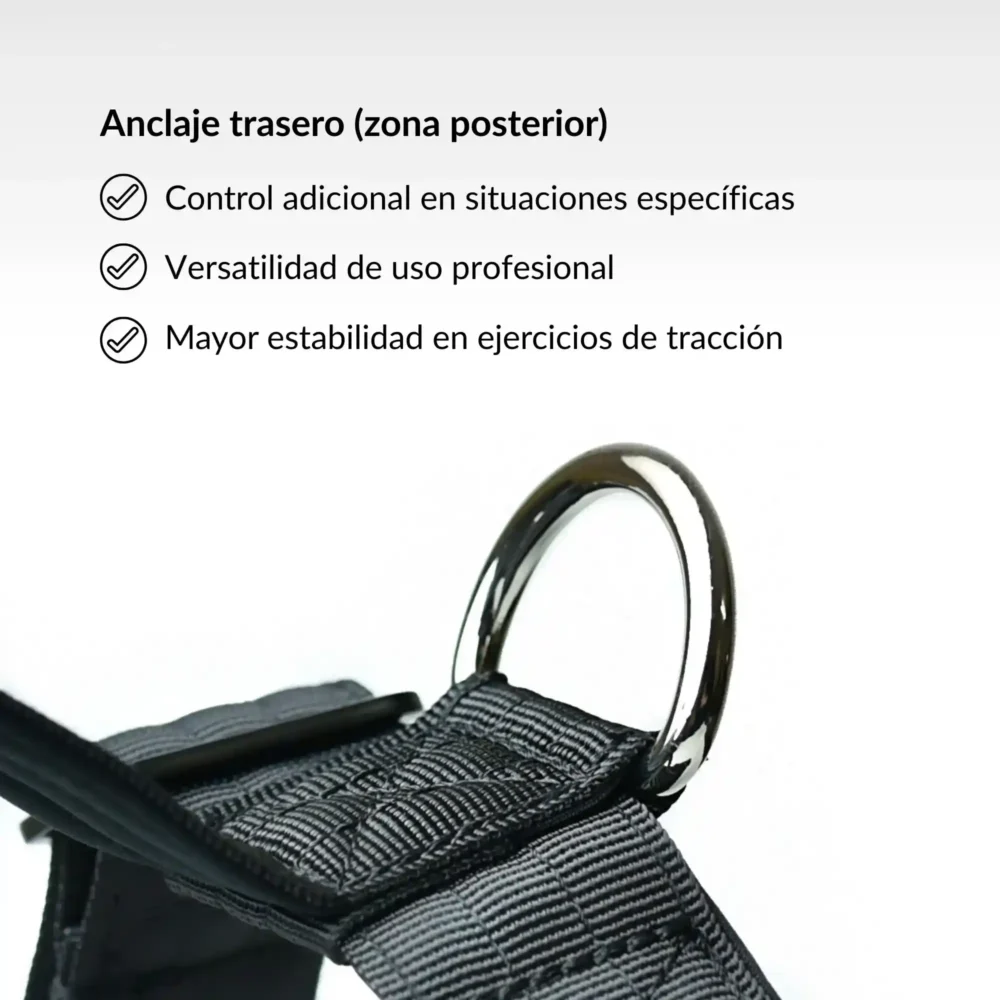 Arnés Hurón (7) Arnés Hurón