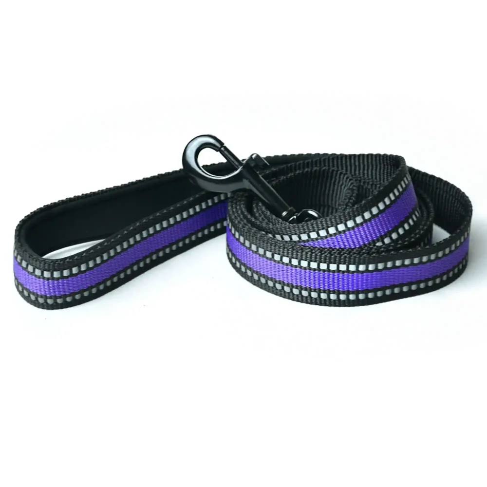 Correa básica plana