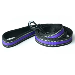 Correa básica plana