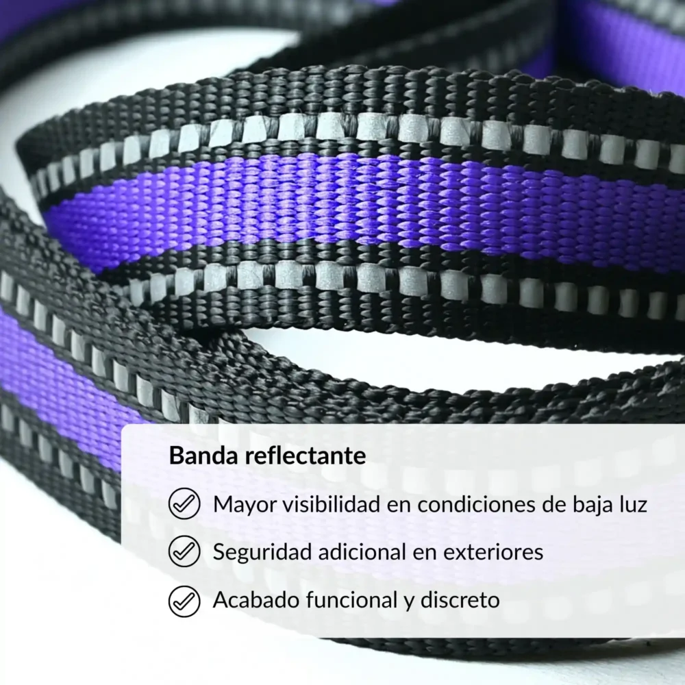 Correa básica plana