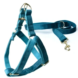 Conjunto Arnés Koasati