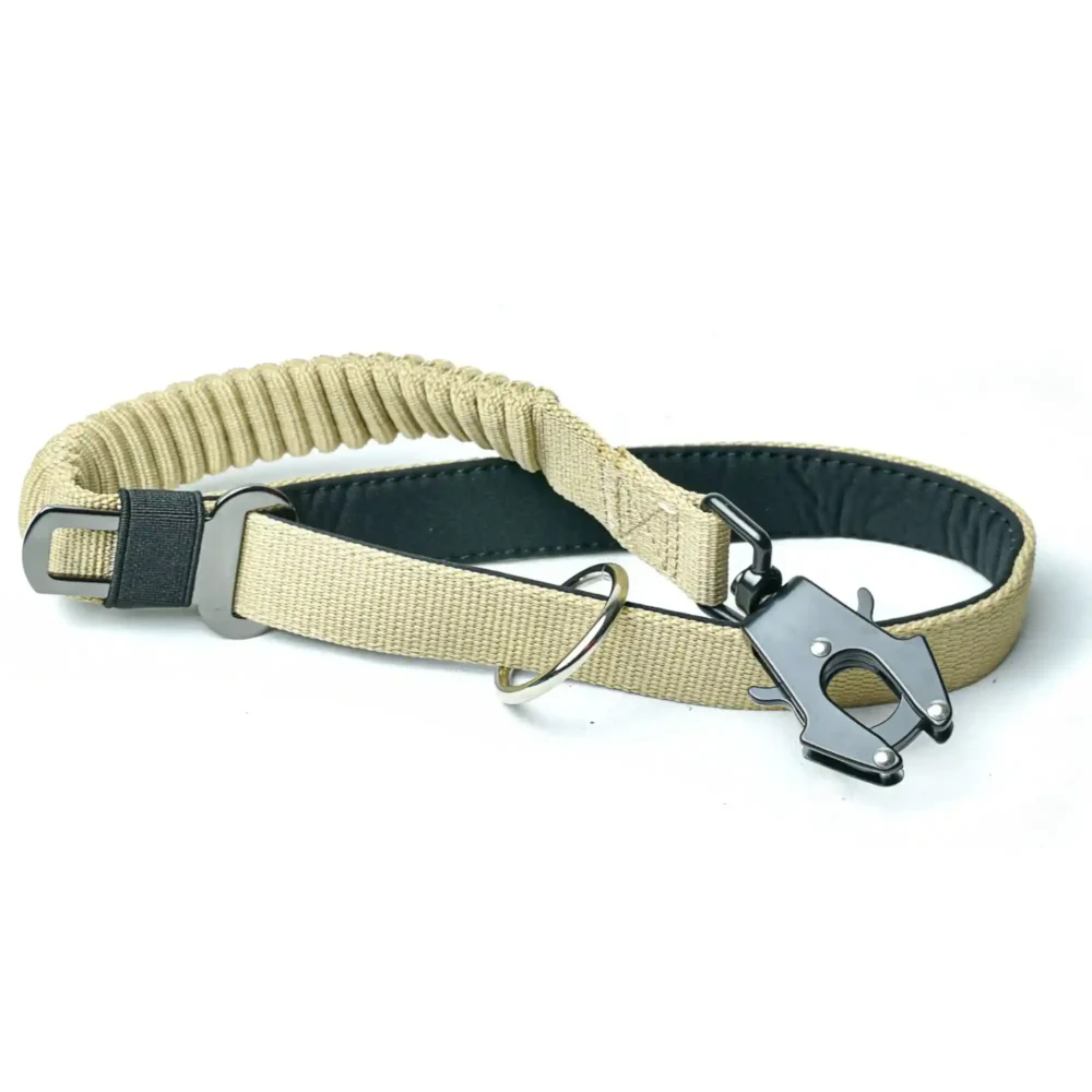 Correa Arapaho Corta