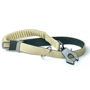 Correa Arapaho Corta