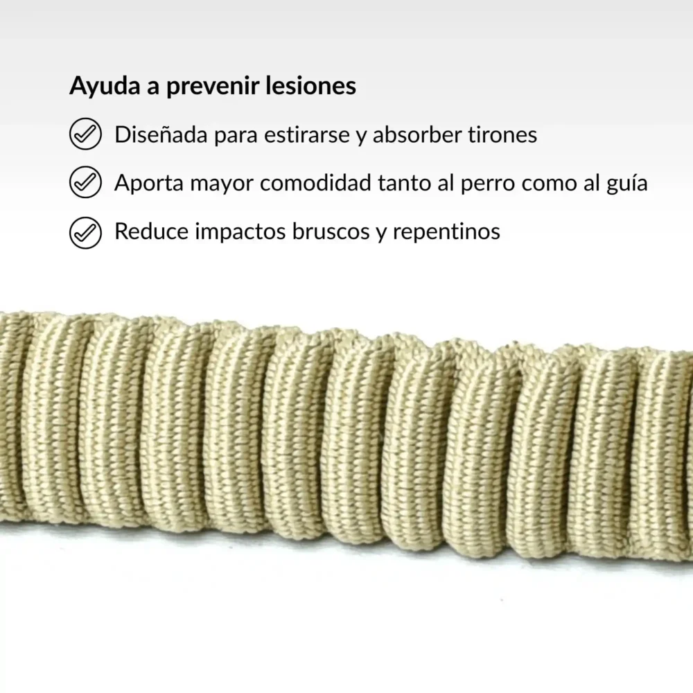 Correa Arapaho Corta