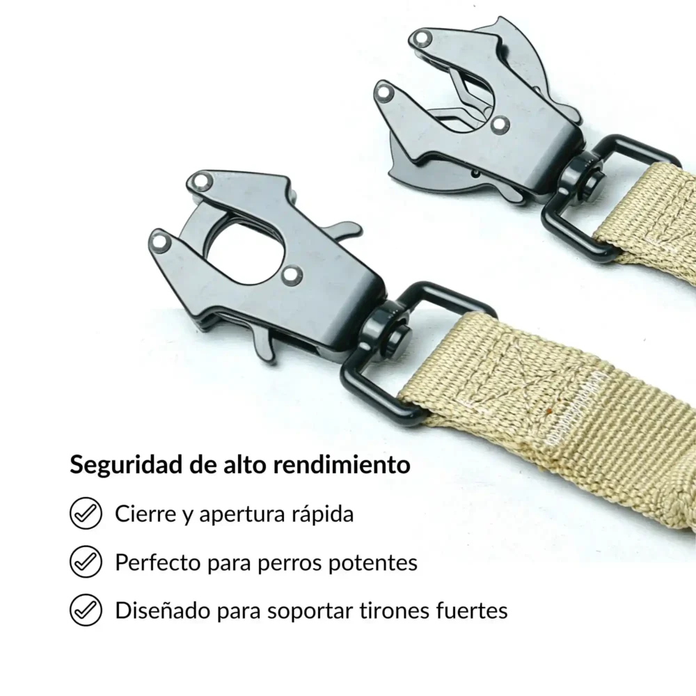 Correa Arapaho Corta