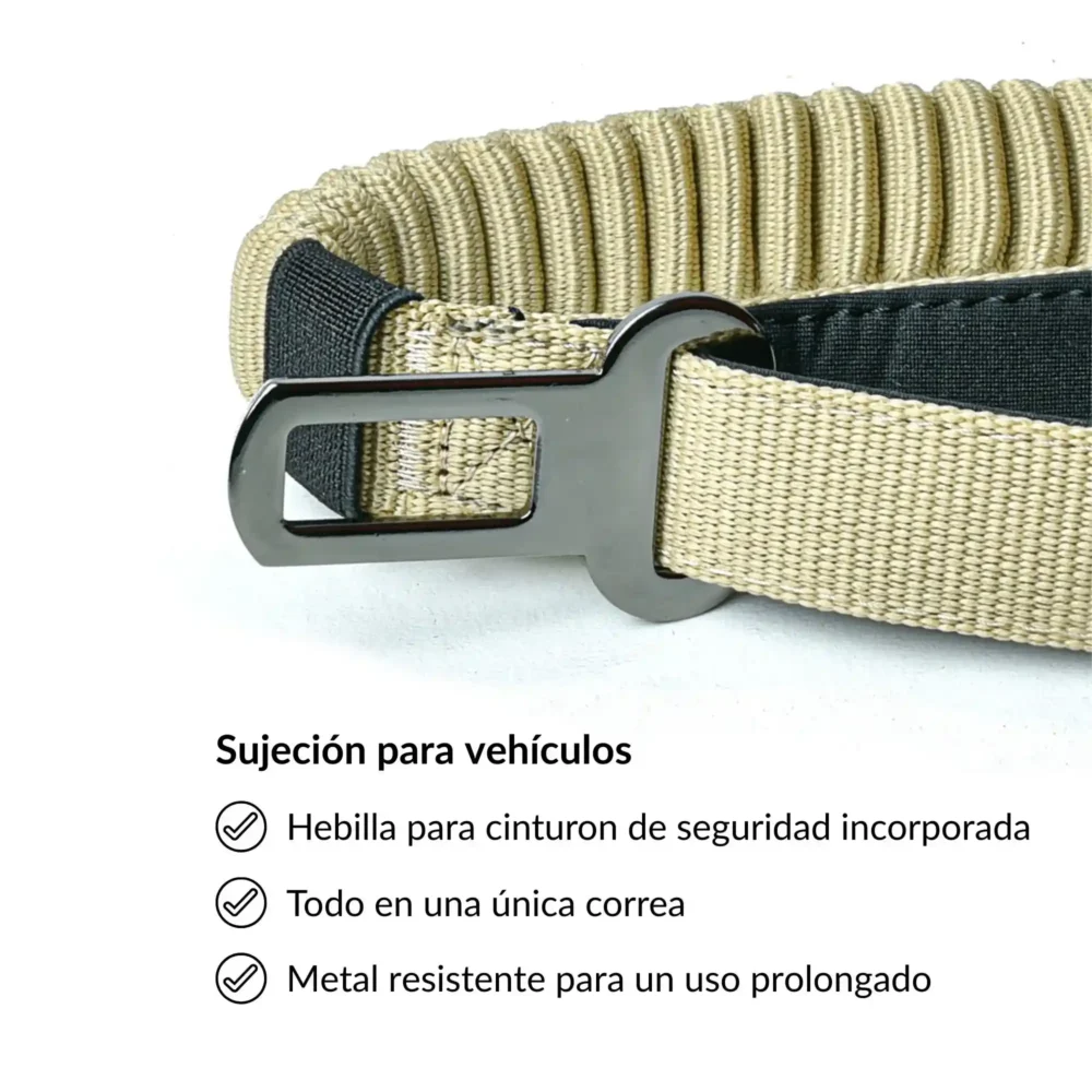 Correa Arapaho Corta