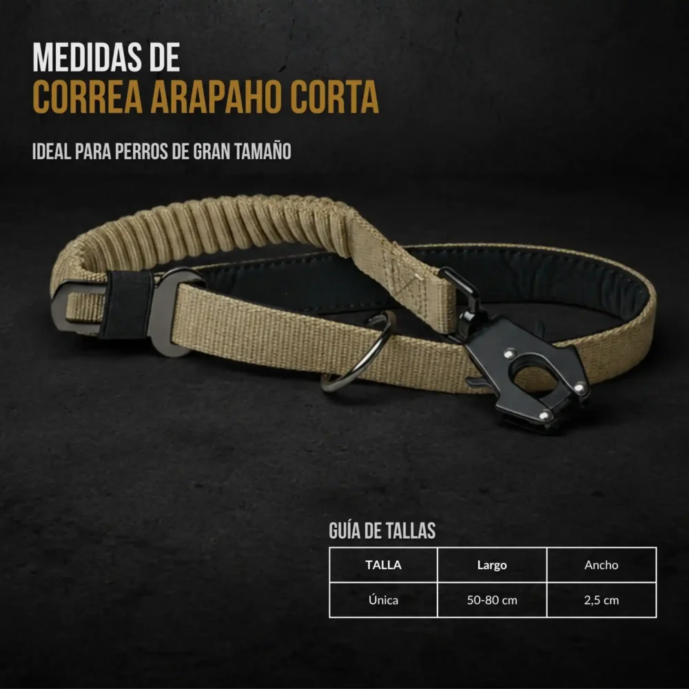 Correa Arapaho Corta