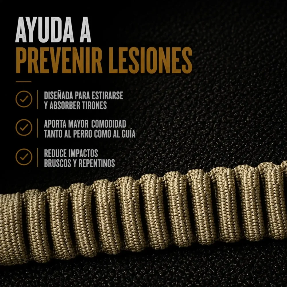 Correa Arapaho Corta