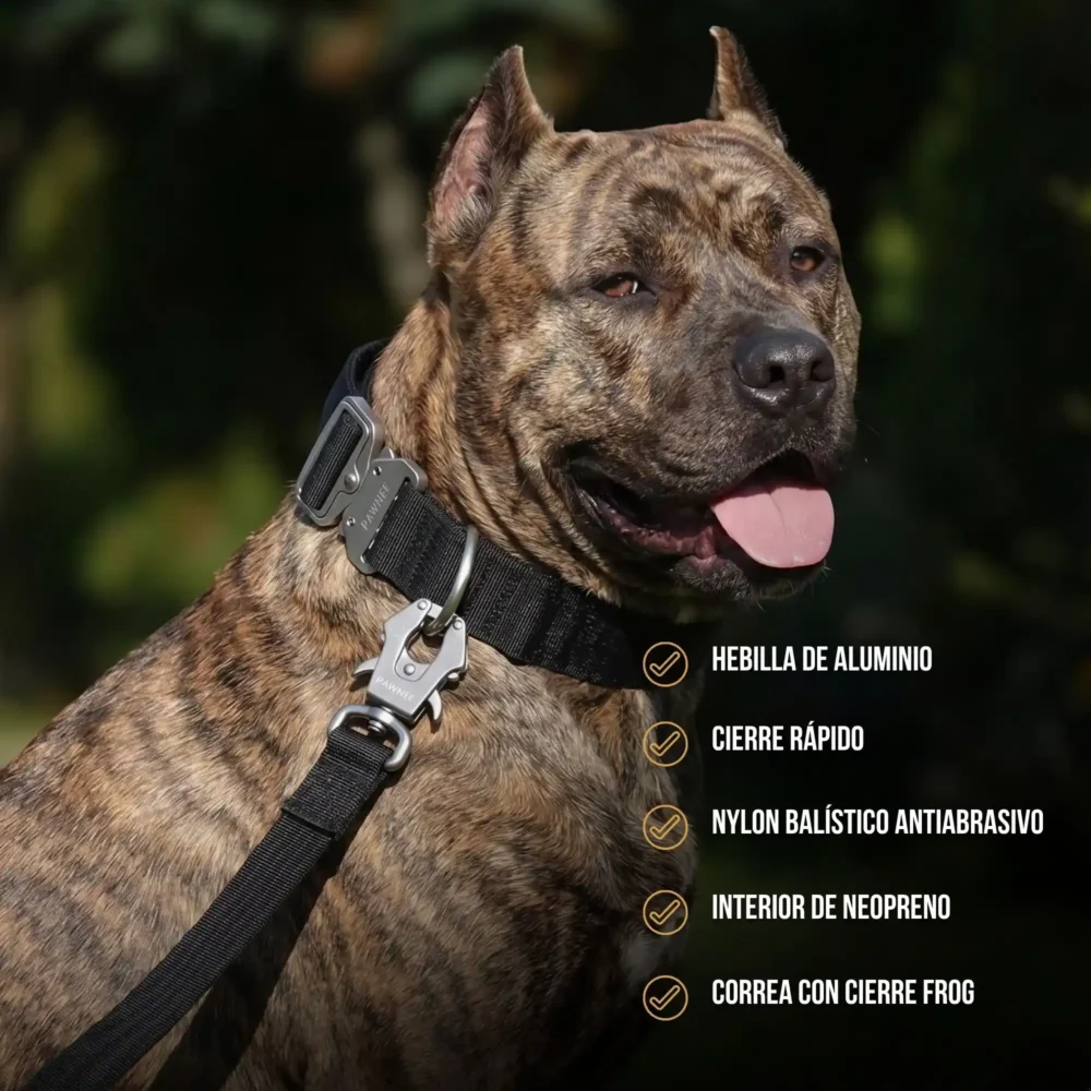 EVO (1) Collar Shawnee EVO Max
