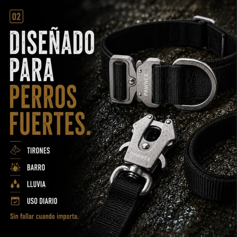 Conjunto Shawnee EVO