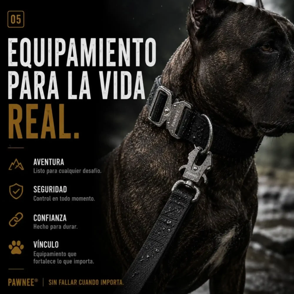 Conjunto Shawnee EVO