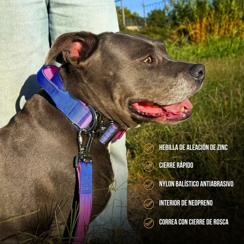 LUX (20) Collar Shawnee LUX
