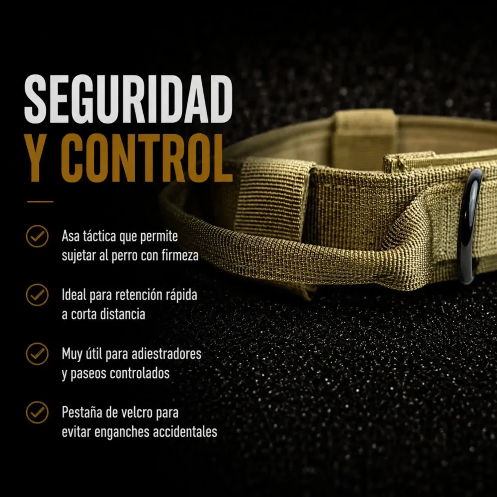 Conjunto Ottawa