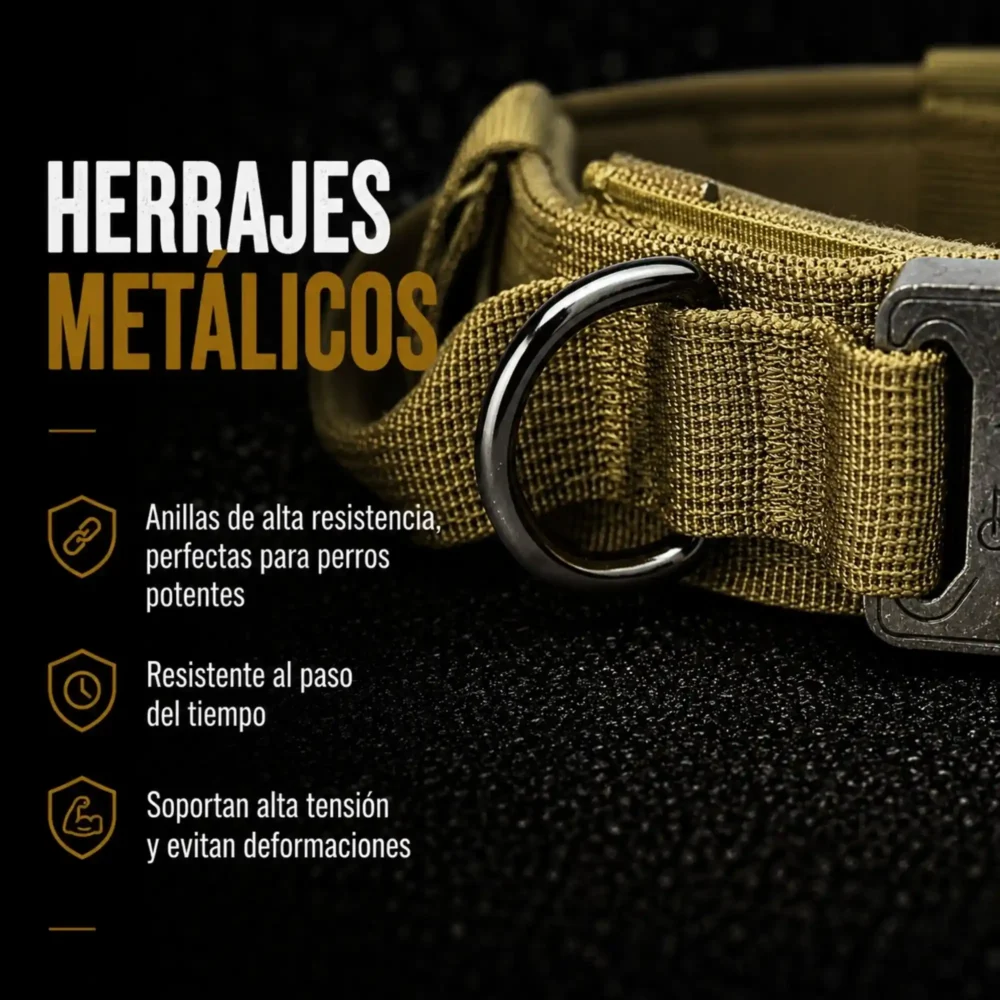 Conjunto Ottawa