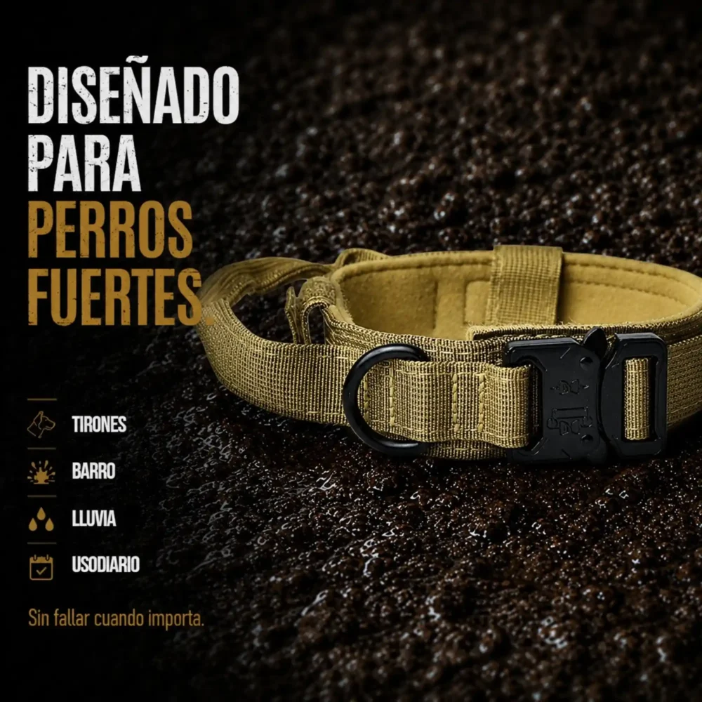 Conjunto Ottawa