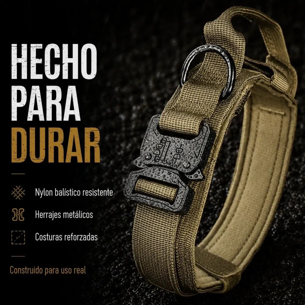 Conjunto Ottawa