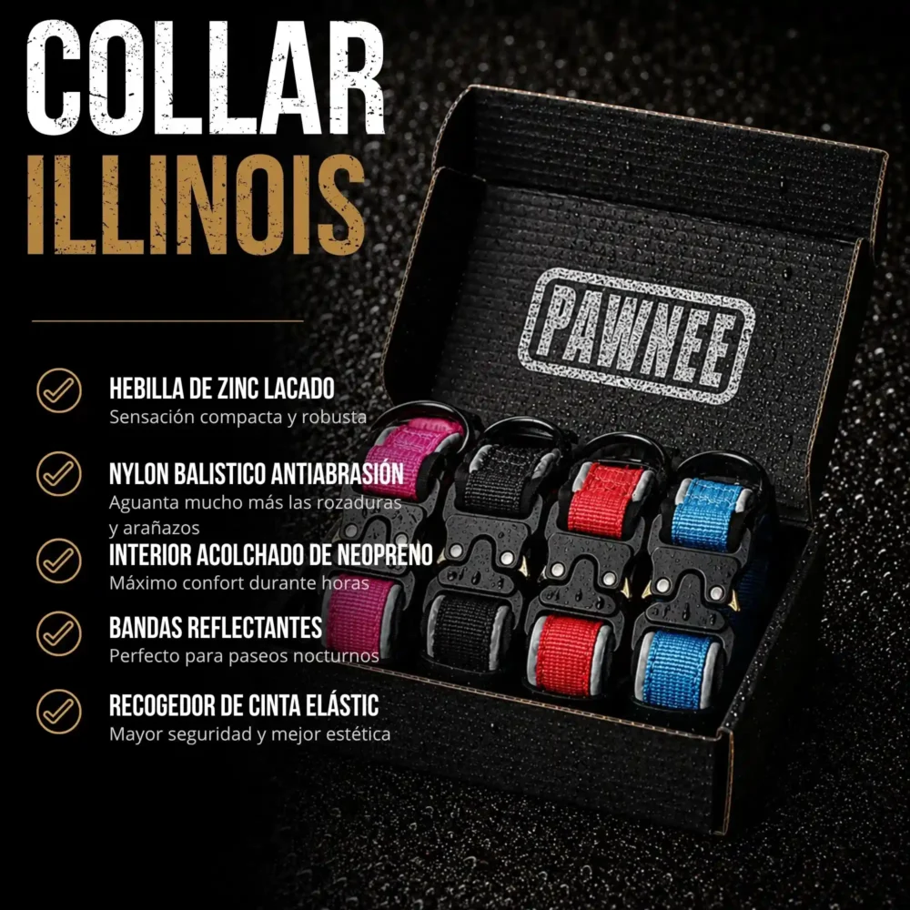 ILLINOIS (6) Collar Illinois