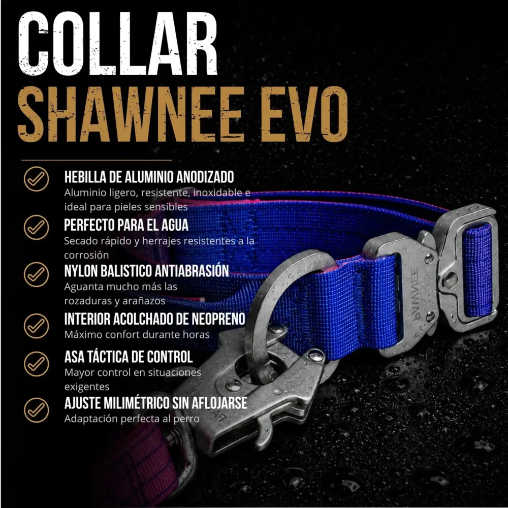 Conjunto Shawnee EVO